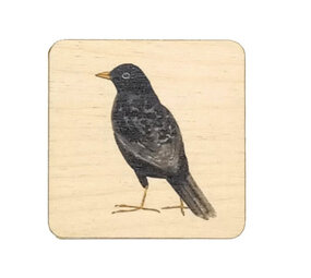 Ask a duck Ask a duck - magneet vierkant - merel