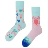 Many mornings Many mornings - sokken - a lot of axolotls Many mornings Many mornings - sokken - a lot of axolotls