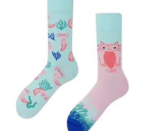 Many mornings Many mornings - sokken - a lot of axolotls Many mornings Many mornings - sokken - a lot of axolotls