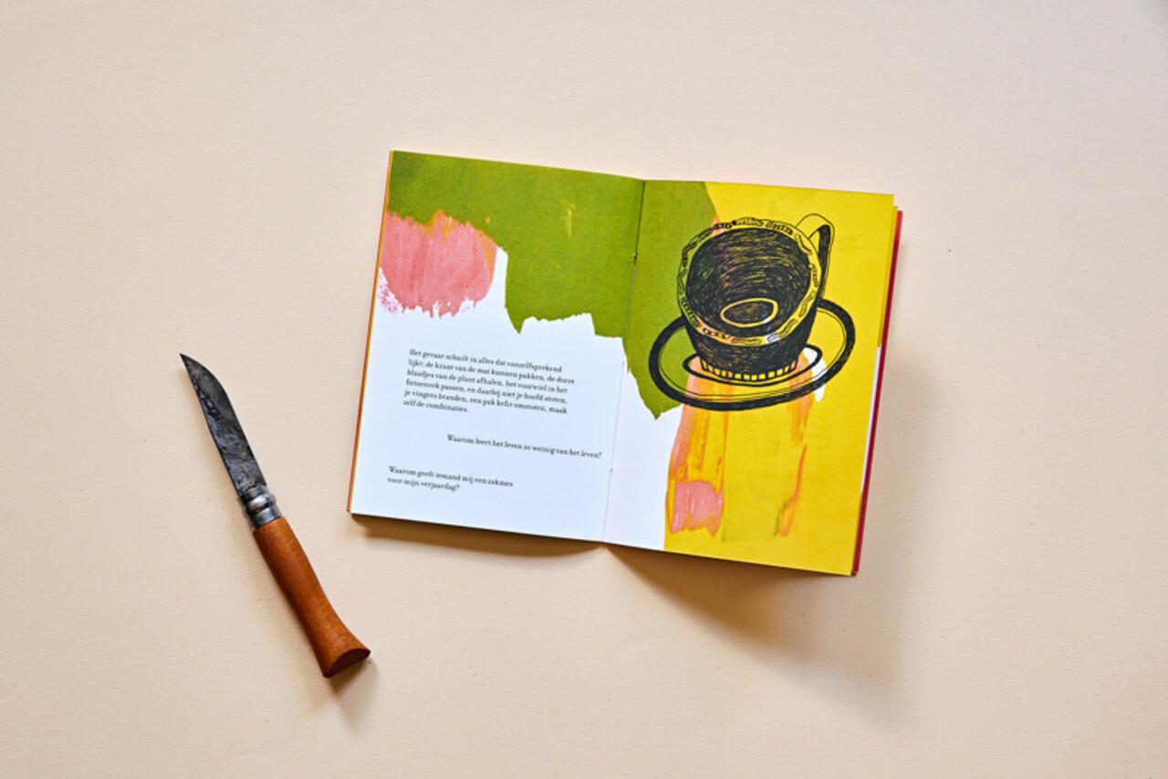 Loopvis Kakkerlakje - literatuur - struikelend vooruit (nr 36)