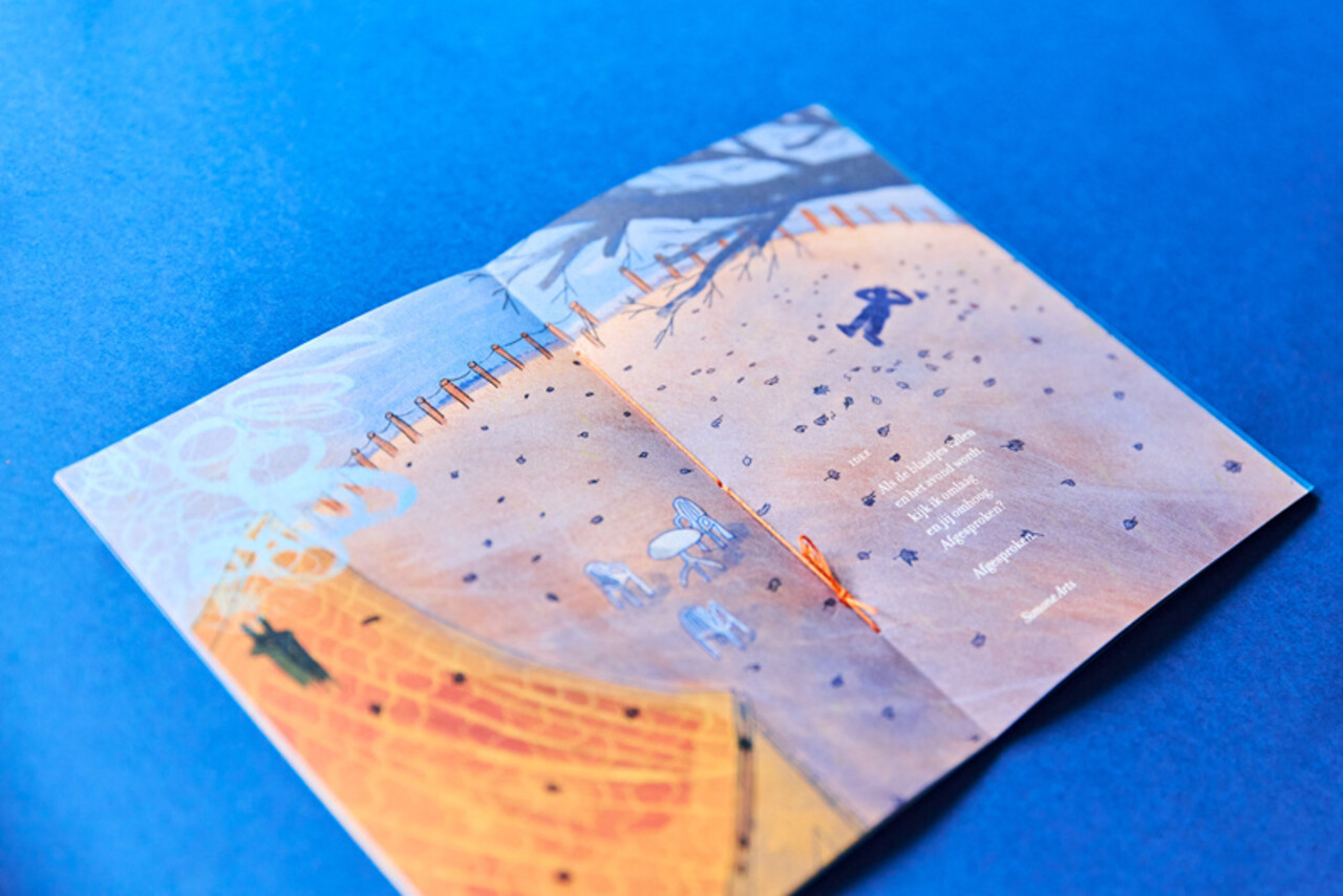 Loopvis Kakkerlakje - jong - vol van leegte (nr 22) Loopvis Kakkerlakje - jong - vol van leegte (nr 22)