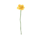 Aveva Design Aveva design - bloem vilt - daffodil yellow