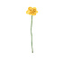 Aveva design - bloem vilt - daffodil yellow Aveva design - bloem vilt - daffodil yellow