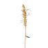 Aveva design - bloem vilt - wheat Aveva design - bloem vilt - wheat