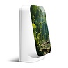 Zwitscherbox Zwitscherbox/Relaxound - jungle box - maliau Zwitscherbox Zwitscherbox/Relaxound - jungle box - maliau