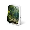 Zwitscherbox Zwitscherbox/Relaxound - jungle box - maliau Zwitscherbox Zwitscherbox/Relaxound - jungle box - maliau