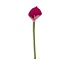 Sjaal met verhaal - bloem calla - magenta Sjaal met verhaal - bloem calla - magenta