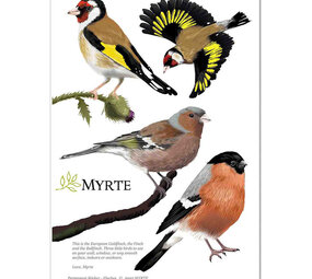 Myrte Myrte - muursticker - vinkjes