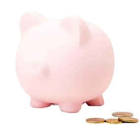 Invotis Invotis - spaarpot - roze varken