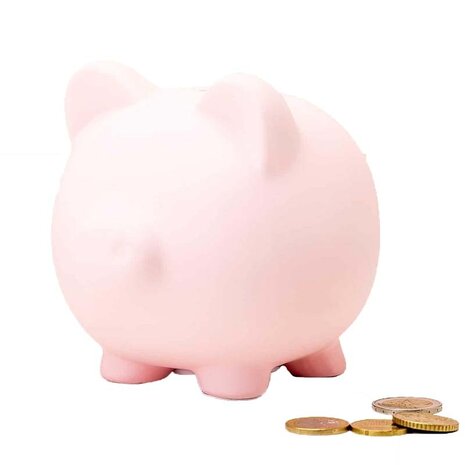 Invotis Invotis - spaarvarken - roze