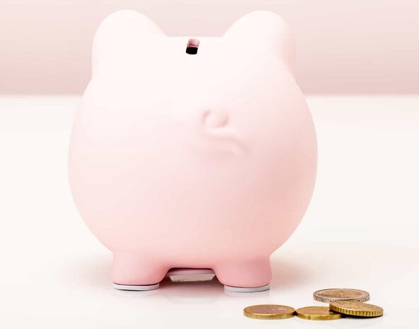 Invotis Invotis - spaarvarken - roze