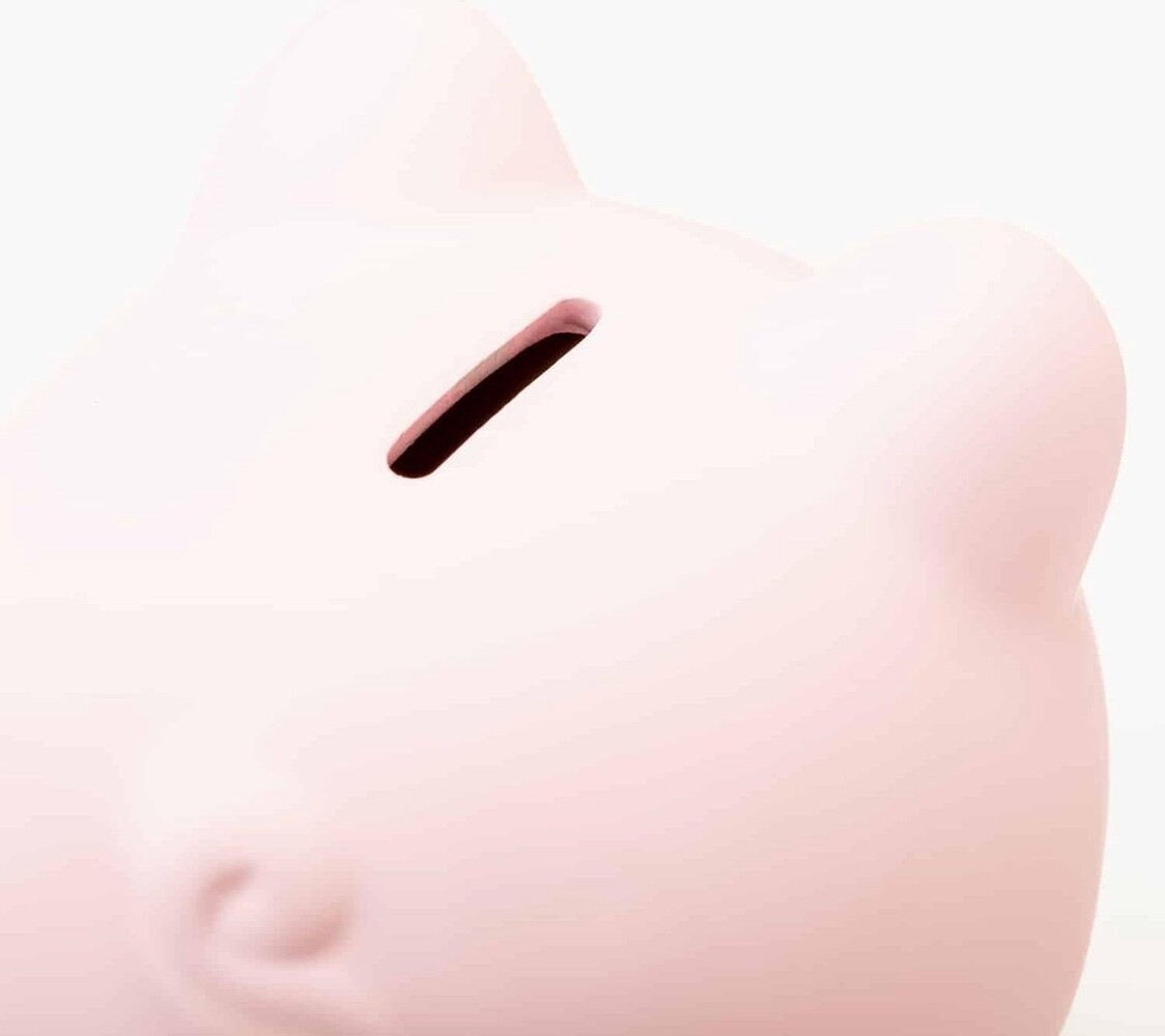 Invotis Invotis - spaarvarken - roze