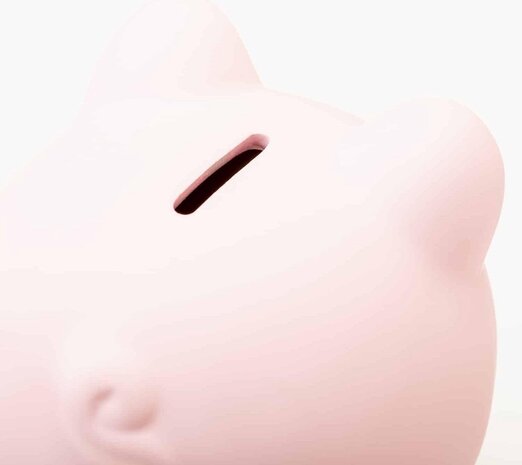 Invotis Invotis - spaarvarken - roze