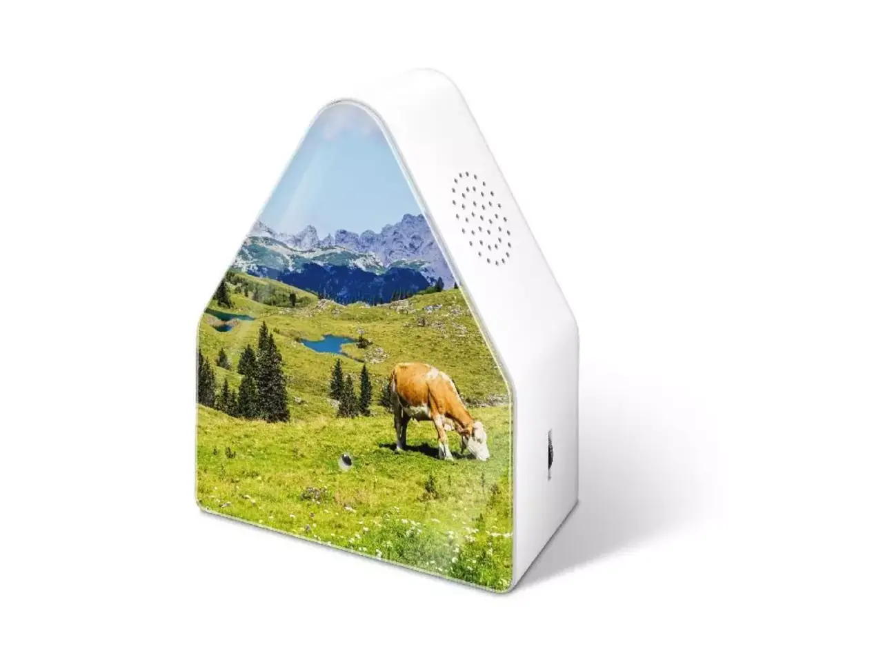 Zwitscherbox Zwitscherbox - heidibox - alpenweide Zwitscherbox Zwitscherbox - heidibox - alpenweide