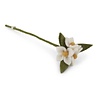 Gry & Sif Gry & sif - bloementakje - white Gry & Sif Gry & sif - bloementakje - white