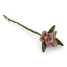 Gry & Sif Gry & sif - bloementakje - dusty rose Gry & Sif Gry & sif - bloementakje - dusty rose