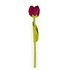 Sjaal met verhaal - bloem tulp - mila (magenta) Sjaal met verhaal - bloem tulp - mila (magenta)