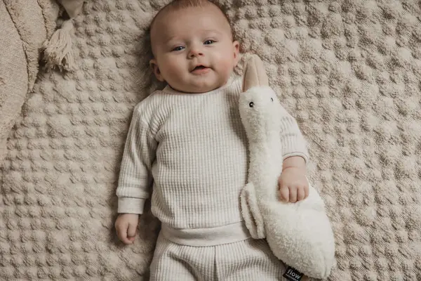 Flow Flow - heartbeat comforter knuffel - liva beige (rechargeable) Flow Flow - heartbeat comforter knuffel - liva beige (rechargeable)