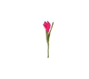 Sjaal met verhaal Sjaal met verhaal - bloem krokus - fuchsia