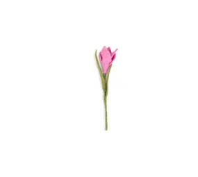 Sjaal met verhaal Sjaal met verhaal - bloem krokus - roze