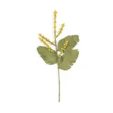 Sjaal met verhaal Sjaal met verhaal - tak - mimosa Sjaal met verhaal Sjaal met verhaal - tak - mimosa