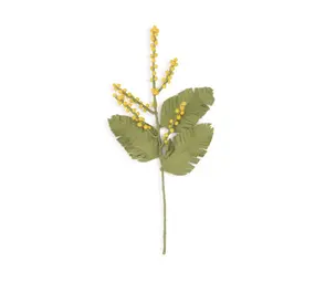 Sjaal met verhaal Sjaal met verhaal - tak - mimosa