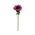 Sjaal met verhaal - bloem anemoon - fuchsia Sjaal met verhaal - bloem anemoon - fuchsia