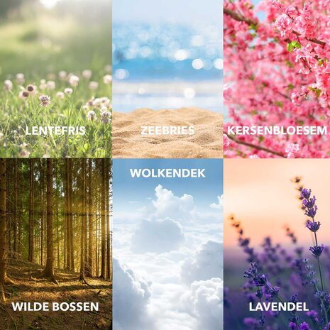 Cosmeau Cosmeau  - geurbooster refill - wild forest (50 wasbeurten) Cosmeau Cosmeau  - geurbooster refill - wild forest (50 wasbeurten)
