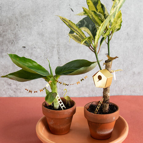 Botanopia / Sprout Botanopia - plant accessoire - tiny birdhouse Botanopia / Sprout Botanopia - plant accessoire - tiny birdhouse
