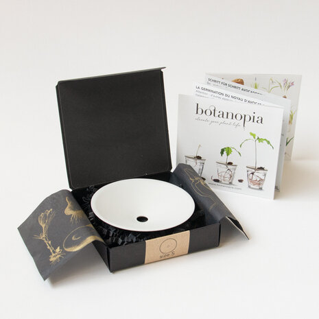 Botanopia / Sprout Botanopia / Sprout - kweekschaal - maat S Botanopia / Sprout Botanopia / Sprout - kweekschaal - maat S