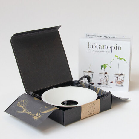 Botanopia / Sprout Botanopia / Sprout - kweekschaal - maat L