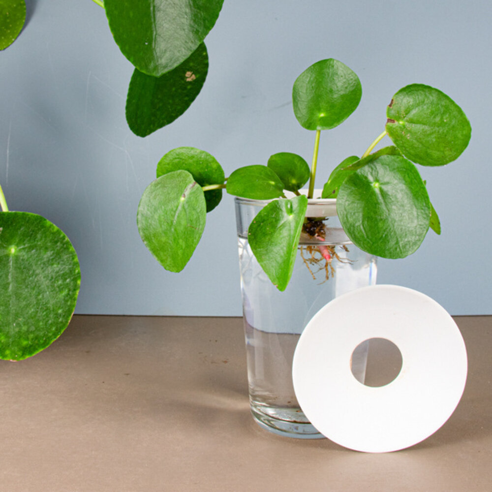 Botanopia / Sprout Botanopia / Sprout - kweekschaal - maat L