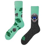 Many mornings Many mornings - sokken - the drill Many mornings Many mornings - sokken - the drill