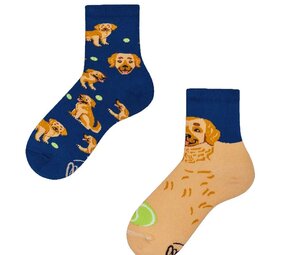 Many mornings Many mornings - sokken kids - golden boy