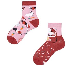 Many mornings Many mornings - sokken kids - miss guinea pig