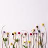 Aveva Design Aveva design - bloem - distel lavender Aveva Design Aveva design - bloem - distel lavender