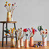 Aveva Design Aveva design - bloem - distel lavender Aveva Design Aveva design - bloem - distel lavender