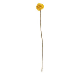 Aveva Design Aveva design - bloem - sunball Aveva Design Aveva design - bloem - sunball