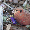 Eugy Eugy - 3d model - bever (127) Eugy Eugy - 3d model - bever (127)