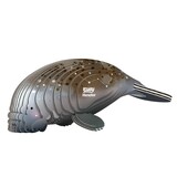 Eugy Eugy - 3d model - zeekoe (nr 122)