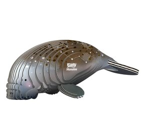 Eugy Eugy - 3d model - zeekoe (nr 122)