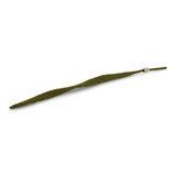 Gry & Sif Gry & sif - grasspriet - green Gry & Sif Gry & sif - grasspriet - green