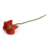 Gry & Sif Gry & sif - bloem poppy - coral