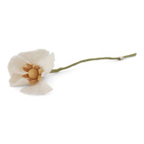 Gry & Sif Gry & sif - bloem poppy - white Gry & Sif Gry & sif - bloem poppy - white