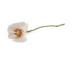 Gry & Sif Gry & sif - bloem poppy - white