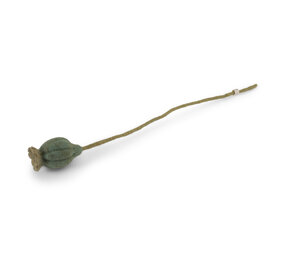 Gry & Sif Gry & sif - bloem poppy seed - sage green