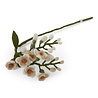 Gry & Sif Gry & sif - bloem wisteria - white Gry & Sif Gry & sif - bloem wisteria - white