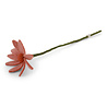 Gry & Sif Gry & sif - bloem cosmos - light peach Gry & Sif Gry & sif - bloem cosmos - light peach