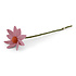 Gry & sif - bloem cosmos - light pink