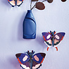 Studio Roof Studio Roof - muurdecoratie - swallowtail butterflies (set van 3) Studio Roof Studio Roof - muurdecoratie - swallowtail butterflies (set van 3)